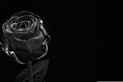 Včerajšia tragická udalosť zasiahla aj akademickú obec Obchodnej fakulty